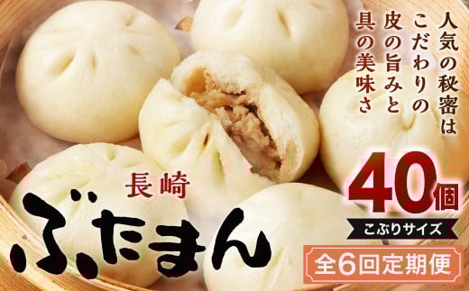 【全6回定期便】 長崎ぶたまん 40個(10個入×4パック) / ぶたまん 中華まん 肉まん 豚 豚肉 中華 冷蔵 小分け お取り寄せ おやつ グルメ 国産 惣菜 長崎 長崎県産 長崎県 長崎市長崎県長崎市750