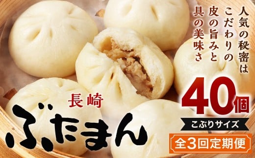 【全3回定期便】長崎ぶたまん 40個(10個入×4パック) / ぶたまん 中華まん 肉まん 豚 豚肉 中華 冷蔵 小分け お取り寄せ おやつ グルメ 国産 惣菜 長崎 長崎県産 長崎県 長崎市長崎県長崎市3800