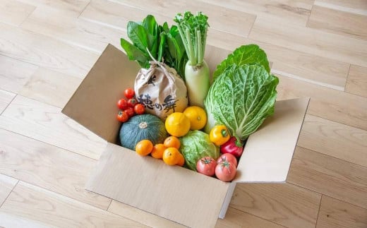 【全6回定期便】 農産物直売所おすすめ! 旬野菜 セット 5〜10品目 / やさい 旬 野菜 詰合せ 詰め合わせ 新鮮 産地直送 ふるさと おまかせ お楽しみ きんかい味彩市 長崎県 長崎市長崎県長