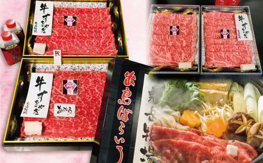 【全2回定期便】長崎和牛 出島ばらいろ レギュラータイプ M / 和牛 国産 肉 牛肉 お肉 サーロイン モモまたはウデ すき焼き しゃぶしゃぶ 長崎県 長崎市長崎県長崎市100000肉牛肉