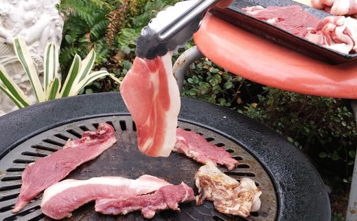【7営業日以内発送】猪肉 切り落とし 200g×3 / 猪 イノシシ いのしし ジビエ 細切れ 長崎県 長崎市長崎県長崎市12000肉ジビエ
