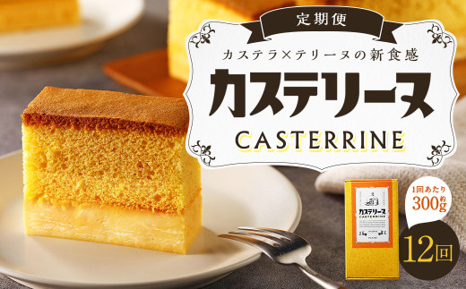 【全12回定期便】長崎カステリーヌ 1本 / タナカヤ カステラ かすてら スイーツ デザート お菓子 菓子 長崎県 長崎市長崎県長崎市136000菓子・スイーツケーキ・カステラ