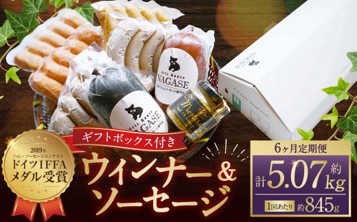 【全6回定期便】ドイツIFFAメダル受賞セット / 7種類 スモークウインナー ソーセージ マスタード お肉 詰め合わせ 冷蔵 長崎長崎県長崎市129000肉加工肉(ハム・ソーセージ等)
