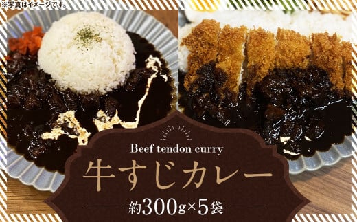 牛すじカレー 冷凍 パック 約300g×5袋 計1500g / スパイス 牛すじ 5人前 冷凍 パック ピリ辛 牛筋 カレー レトルト長崎県長崎市12000肉牛肉