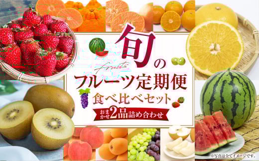 旬のフルーツセット 季節により厳選した果物を2品目詰め合わせ 詰め合わせ 果物 くだもの ふるーつ 旬 詰合せ 新鮮 セット ダイコー青果 長崎長崎県長崎市13000果物・フルーツいちご