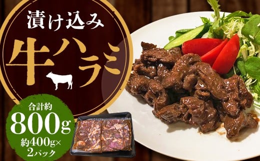 【焼くだけ簡単!】漬け込み牛ハラミ 約400g×2 計約800g 肉 牛肉 ハラミ肉 漬け 焼き肉 味付け長崎県長崎市21000肉牛肉