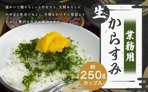 【7営業日以内発送】発祥の味 生からすみ 業務用 250g カップ入り / からすみ カラスミ 魚卵 つまみ 鰡 ボラ ぼら 珍味 九州 長崎県 長崎市 冷蔵長崎県長崎市22000魚介・海産物その他 魚介・
