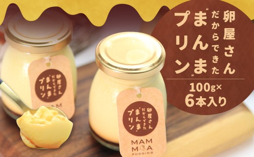 【14営業日以内発送】 卵屋さんだからできた ”まんま” プリン 100g×6本入りセット (計600g)  ぷりん 洋菓子 菓子 お菓子 卵 長崎彩黄卵 セット 九州 長崎県 長崎市 冷蔵長崎県長崎市11000菓