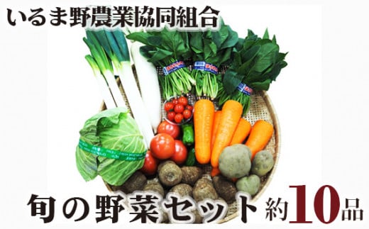 旬の野菜セット 10品程度 | 野菜 季節 旬 農業 農産物 新鮮 詰め合わせ セット いるま野農業協同組合 埼玉県 狭山市埼玉県狭山市10000野菜・きのこその他 野菜
