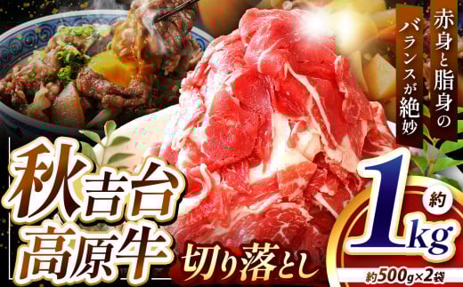 ʌ Hg  ؂藎Ƃ v 1kg (  500g × 2 ) b R ̕i ԗi R Is    ؂藎Ƃ Hו  ɂ Y Y Y  Yi Yi