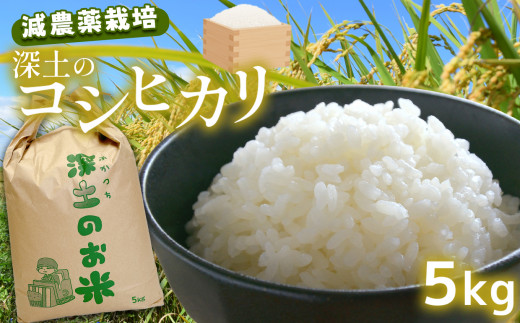 深土の特別米コシヒカリ(5kg) | 米 精米 お米 コメ 単一米 こしひかり 減農薬 限定栽培 有機肥料 山口 美祢 秋吉台 5kg山口県美祢市10000米・パン白米