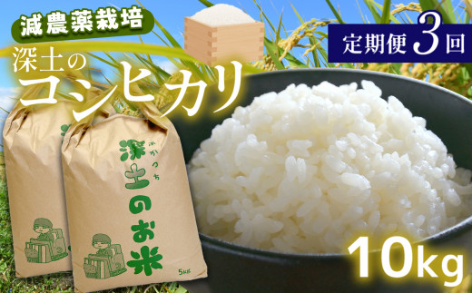 定期便3回 深土の特別米コシヒカリ 10kg×3(2ヶ月毎×3回) | 有機肥料 減農薬 米 精米 コシヒカリ 美祢市 山口県 美祢 秋吉台 定期便 10kg山口県美祢市50000米・パン白米