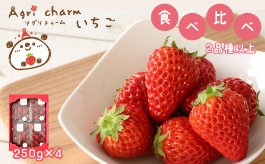 秋吉台のミネラルたっぷり!! Agri charmの いちご 食べ比べセット ( 2品種 以上× 4パック ) 先行予約 < 2026年2月下旬 ~ 4月下旬頃の期間で順次発送予定> | いちご 苺 イチゴ フルーツ 果物 食べ