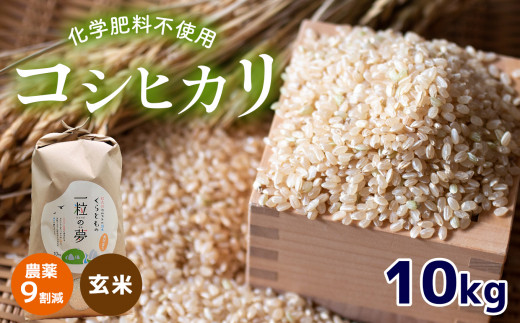 農薬9割減 ・ 化学肥料不使用 コシヒカリ(玄米)  10kg 令和6年産 米 (2025年3月以降の発送予定) | 有機農産物認証推進協会認定 玄米 お米 米 こしひかり 農薬減 美祢市 山口県 秋芳 カルスト台