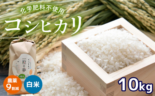 農薬9割減 ・ 化学肥料不使用 コシヒカリ 10kg 令和6年産 米 (2025年3月以降の発送予定) | 有機農産物認証推進協会認定 精米 お米 米 こしひかり 農薬減 美祢市 山口県 秋芳 カルスト台地 湧き