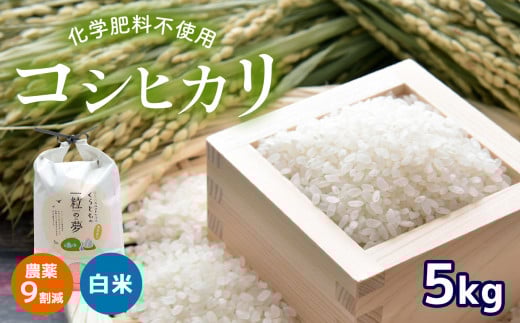 農薬9割減 ・ 化学肥料不使用 コシヒカリ 5kg 令和6年産 米 (2025年2月以降の発送予定) | 有機農産物認証推進協会認定 精米 お米 米 こしひかり 農薬減 美祢市 山口県 秋芳 カルスト台地 湧き