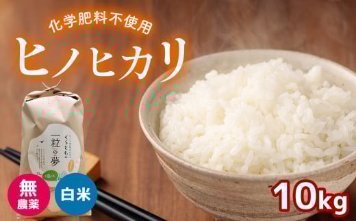 無農薬 ・ 化学肥料不使用 ヒノヒカリ 10kg  令和6年産 米 (2025年2月以降の発送予定) | 有機農産物認証推進協会認定 精米 お米 米 ひのひかり こだわり 美祢市 山口県 秋芳 カルスト台地 湧き