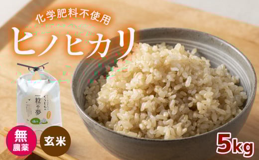 無農薬 ・ 化学肥料不使用 ヒノヒカリ(玄米) 5kg 令和6年産 米 (2025年2月以降の発送予定)  | 有機農産物認証推進協会認定 玄米 お米 米 ひのひかり こだわり 美祢市 山口県 秋芳 カルスト台地
