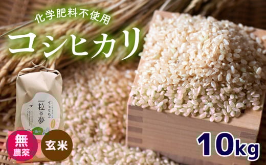 無農薬 ・ 化学肥料不使用 コシヒカリ(玄米) 10kg 令和6年産 米 (2025年2月以降の発送予定) | 有機農産物認証推進協会認定 玄米 お米 米 こしひかり 美祢市 山口県 秋芳 カルスト台地 湧き水 ミ