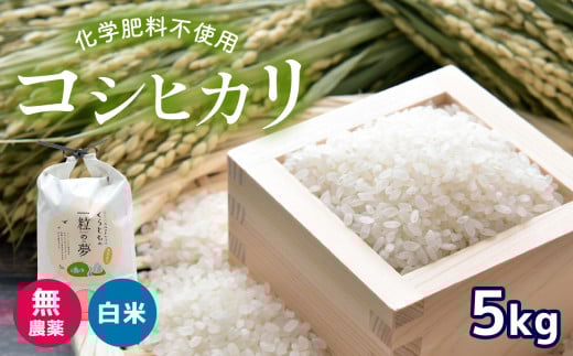 無農薬 ・ 化学肥料不使用 コシヒカリ 5kg 令和6年産 米 (2025年2月以降の発送予定)   | 有機農産物認証推進協会認定 精米 お米 米 こしひかり 美祢市 山口県 秋芳 カルスト台地 湧き水 ミネラ