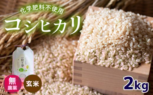 無農薬 ・ 化学肥料不使用 コシヒカリ(玄米)  2kg 令和6年産 米 (2025年2月以降の発送予定)    | 有機農産物認証推進協会認定 玄米 お米 米 こしひかり 無農薬 美祢市 山口県 秋芳 カルスト台地