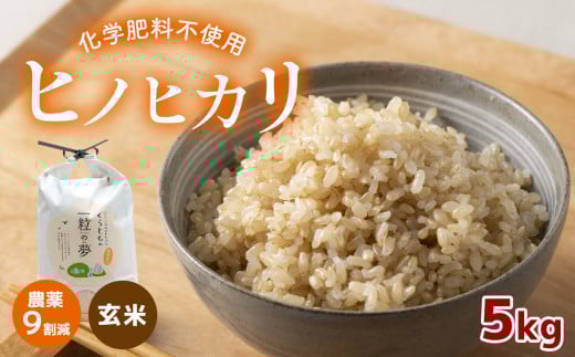 農薬9割減 ・ 化学肥料不使用 ヒノヒカリ(玄米)  5kg  令和6年産 米 (2025年2月以降の発送予定)| 有機農産物認証推進協会認定 玄米 お米 米 ひのひかり 農薬減 美祢市 山口県 秋芳 カルスト台地