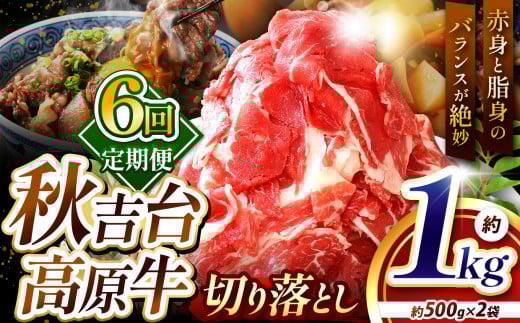 y 6z Hg䍂 ؂藎Ƃ v 1kg  ( 500g × 2 ) b 6 1000 ʌ     ɂ ؂藎Ƃ 6kg Hו B uh  Y R  Is Hg  