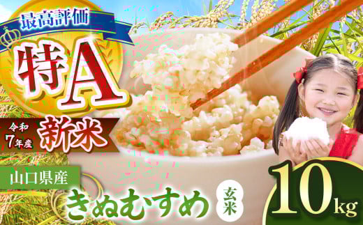 ߘa7NxY V ʂނ  10kg s\  2025N9{菇\  b   V   G  R P ʂނ   R I Hg 10kgRIs23000