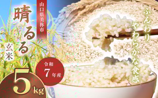 越後製菓 - 越後製菓「新潟県産コシヒカリ日本のごはん」 (120g×4食入)×24袋　2箱 Amazon | 越後製菓 日本のごはん 120g×4食×12袋入×(2ケース