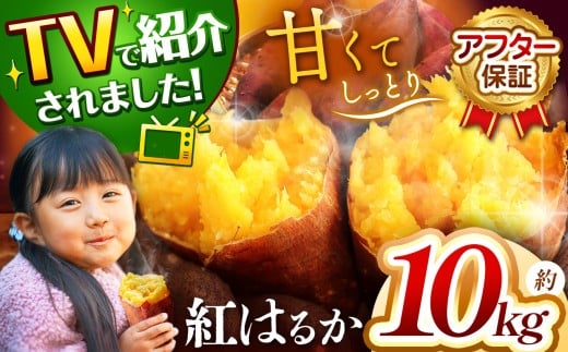 ܂ TVŏЉI y At^[ۏ zÂĂI g͂邩 10kg b ܂ Tc}C    g͂邩 ׂɂ͂邩 1kg 5kg 10kgRIs16000؁ÊႪE
