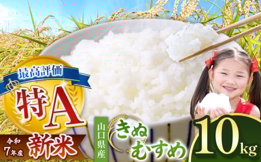 ߘa7NxY ʂނ  20kg  2026N1`菇\   b    G  R P ʂނ   R I Hg  20kgRIs41000āEp