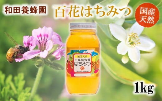 40-15 和田養蜂園 宇土市産の天然「百花はちみつ」1kg熊本県宇土市13500鍋セット・総菜・加工食品ジャム・はちみつ