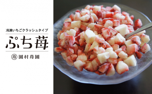 74-20@䕉@FyY nⓀuՂ䕁v1kgi500g×2pbNjF{Fys14000ʕEt[c