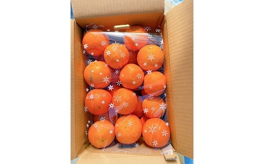 101-15 【訳あり】村田果樹園 完熟網田ネーブル 約5kg(大きさ:M〜3L 約25玉)熊本県宇土市14000果物・フルーツみかん・柑橘類