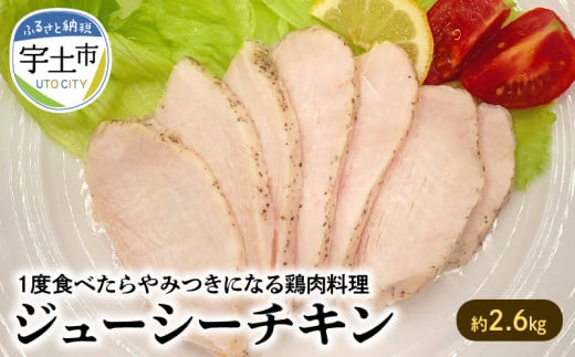 117-04 オアシス九州 ジューシーチキン 約2.6s熊本県宇土市15500肉鶏肉