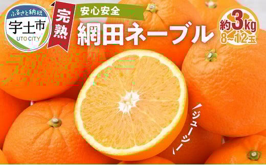 101-16 村田果樹園 減農薬で安心安全な完熟網田ネーブル 約3kg(8玉〜12玉)熊本県宇土市15000果物・フルーツみかん・柑橘類