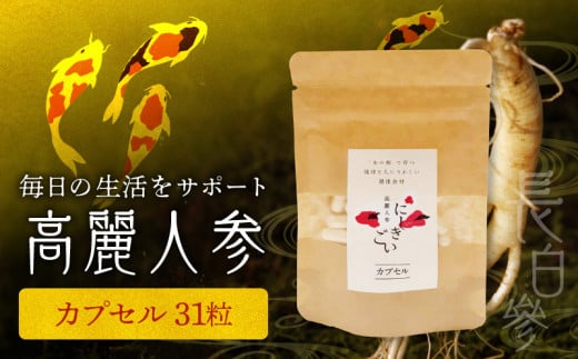 128-19 高麗人参(カプセル0.5g×31粒)熊本県宇土市13500鍋セット・総菜・加工食品その他 鍋セット・総菜・加工食品