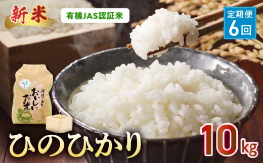 T6-15-552_3 【定期便6回】\☆新米☆/那須自然農園 有機JAS認証米「ひのひかり」胚芽米10kg熊本県宇土市186000米・パン白米
