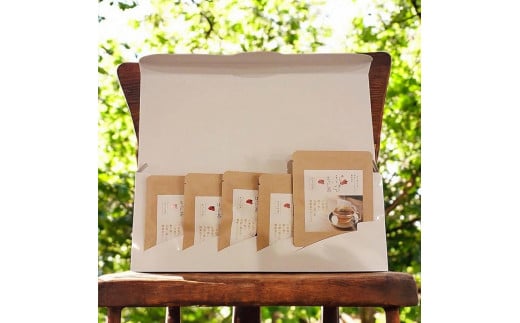 128-42 高麗人参×ほうじ茶TEAPACK (1包2.5g × 5包)熊本県宇土市9500お茶・飲料お茶