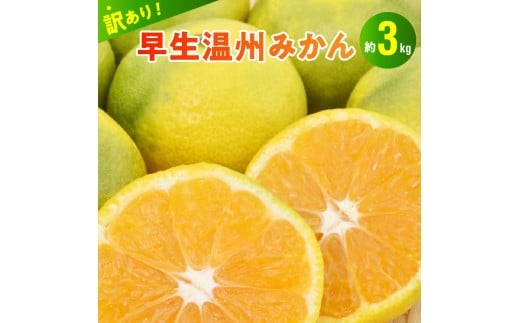 101-13  村田果樹園 【訳アリ】早生温州みかん  約3kg熊本県宇土市10500果物・フルーツみかん・柑橘類