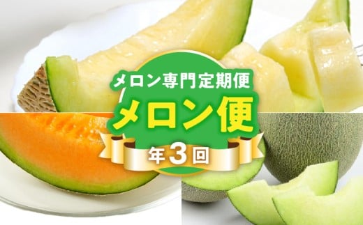 T006-meron【メロン便】年に3回お届け!メロン専門の定期便!熊本県宇土市50000果物・フルーツメロン・スイカ