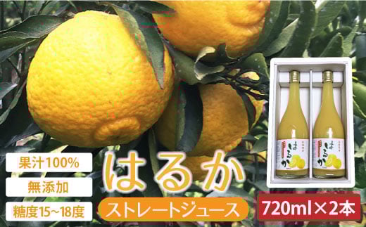 yx15`18xzYu͂邩vʏ`100Xg[gW[Xi720ml×2{j ^/㊹k [EAA001] W[X ݂W[X  Xg[gW[X 100W[X Y茧^1