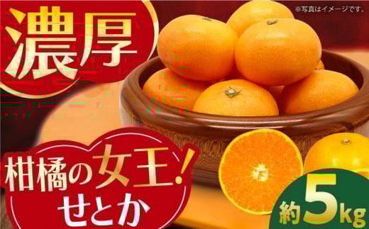 ݂wƂx 5kg -2026N2{珇- Ƃ ^/͂ [EAS003] k n BƂ ݂ ~J ʕ 肹Ƃ t[c  Y Ƃ 3s s\ 