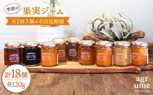 yS6ցz G߂̉ʎW 3{i120g/{j ^/AO[ [EAI008] r  Zbg W茧^60000ZbgE؁EHHiWE݂͂