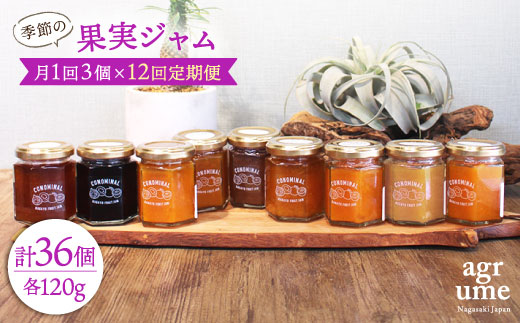 yS12ցz G߂̉ʎW 3{i120g/{j ^/AO[ [EAI009] r  Zbg W茧^120000ZbgE؁EHHiWE݂͂