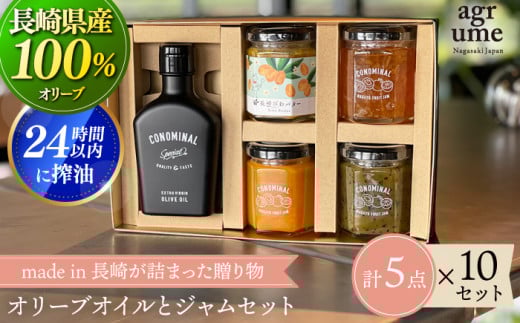 yY100%z I[uICƃW MtgD ×10Zbg uCONOMINALv ^/AO[ [EAI035] r Zbg W  I[uIC I[u [Ԃ Mtg茧^295000