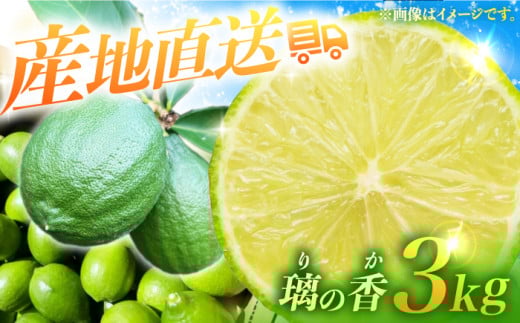y茧^Yz̍ i ̂ j 3kg  [2025N8{蔭[ ^/㊹k [EAA005] ̂  3kg t[c ʕ  ʎ k EG  s\ 