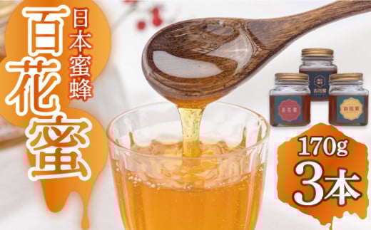 y݂̏͂z{I SԖ 170g×3{ [2025Nn[ ^/n`~c͂Ȃ܂ [ECD001] ݂͂ ݂͂ n`~c Y I VR nj[ M茧^16000Z