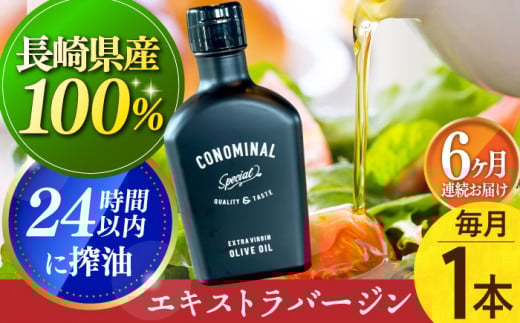 yY100%z y1{×6ցzGLXgo[WI[uIC v6{^/AO[ [EAI078] GNXgo[WI[uIC I[uIC GLXgo[W茧^