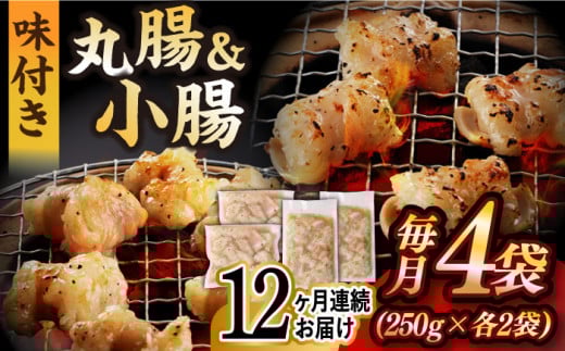 yS12ցzyz BYa z 2 v1kgi  250g×2܁E ے 250g×2܁j ^/iz [EAX157] zĂ Y  z ~bNX  t Ⓚ ē